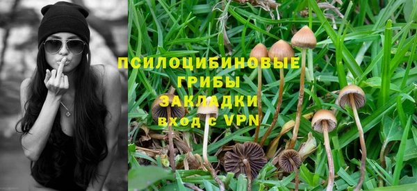 соль курить ск Дмитровск