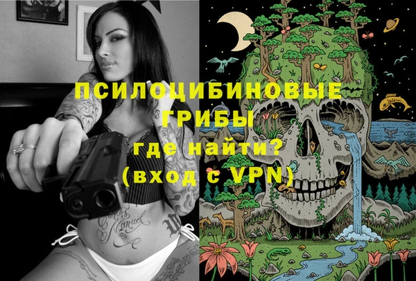 ECSTASY Дмитриев