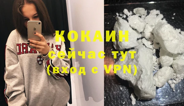 ECSTASY Дмитриев