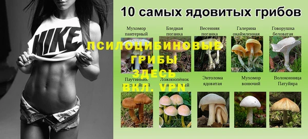 соль курить ск Дмитровск