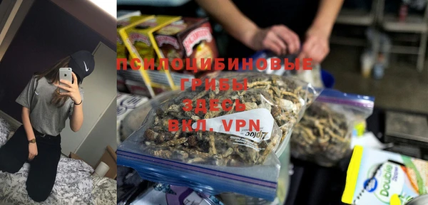 ешки Дмитров
